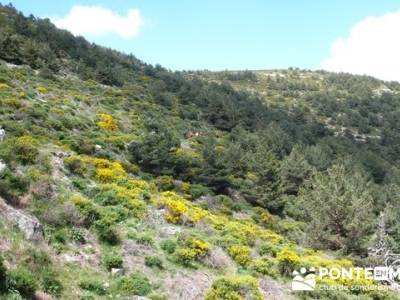 Senderismo Sierra de Guadarrama - Mujer Muerta; senderismo gratis; senderismo principiantes madrid